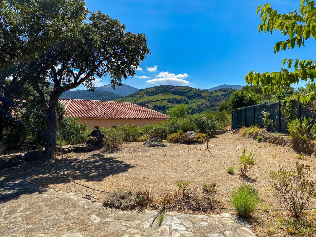 4Amb2 Villa De Caractere Avec Piscine Collective Collioure Exteriör bild
