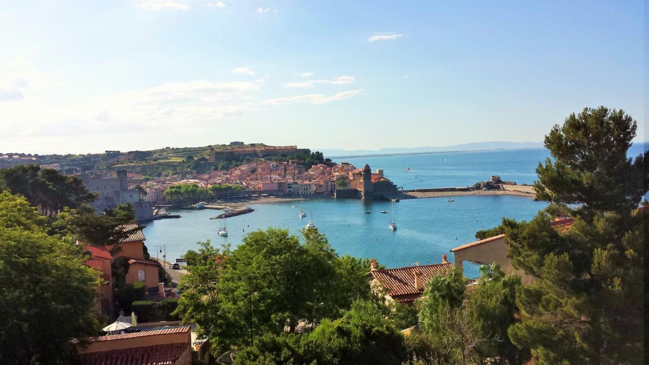 4Amb2 Villa De Caractere Avec Piscine Collective Collioure Exteriör bild